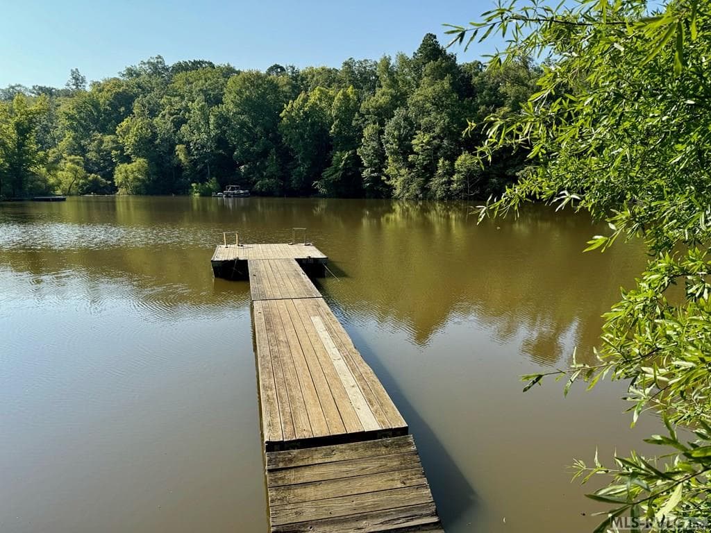 The Shared Dock - 72 Pocahantas Lane, Clarksville VA 23927, Clarksville