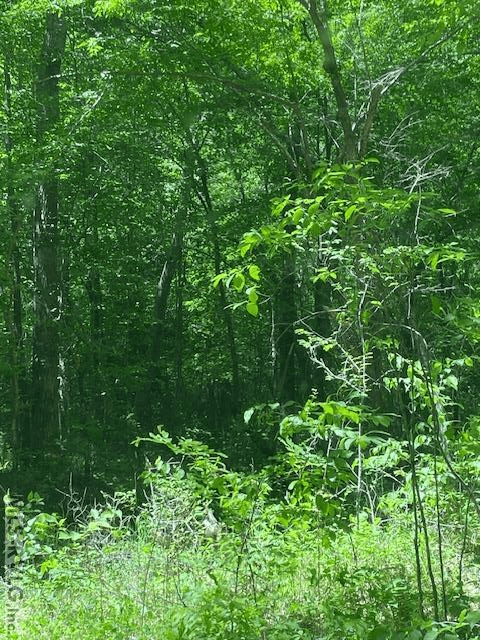 Acreage,Unimproved Land at 000 Belfield Rd, Freeman VA 23856, Freeman, photo 9 of 9