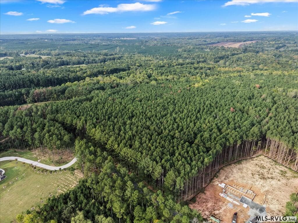 Acreage,Residential Lot-Restricted,Unimproved Land at 65 65 Granite Hall Dr, Boydton VA 23917, Boydton, photo 31 of 32