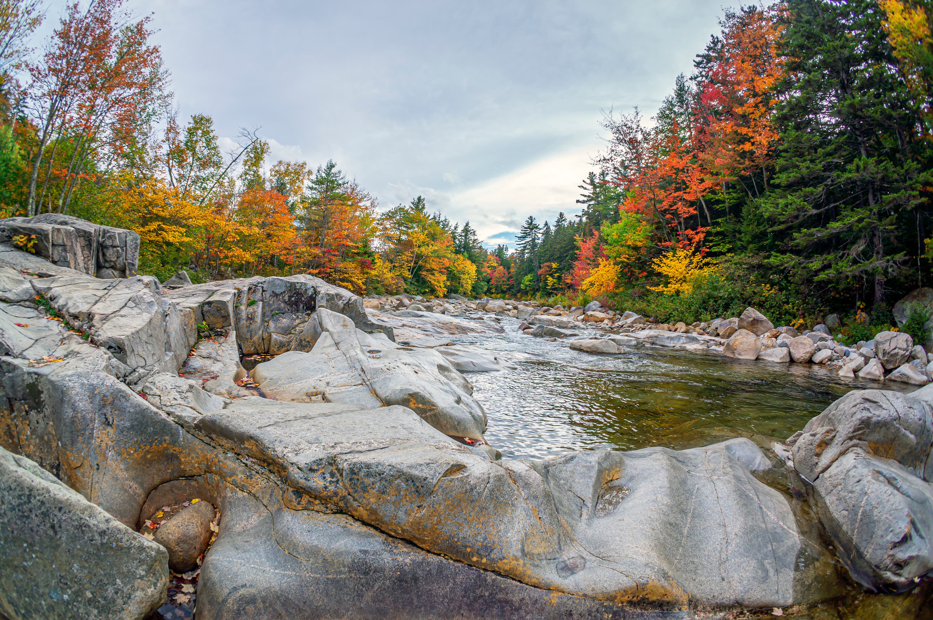 Windham